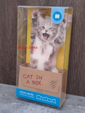 Cat sticky notes